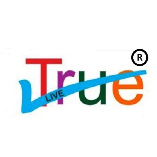 icon logo